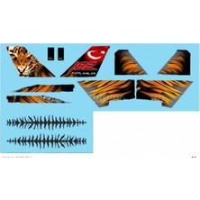 Babibi DBT01261 1/72 Ölçek, F-16D, Ntm-2010, Dekal Çıkartma