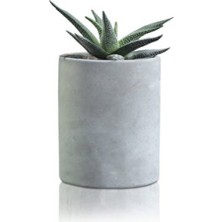 Empressco Bigsili Beton Saksı – Pure