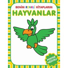 Aknca Benim Renkli Kitaplarım Hayvanlar