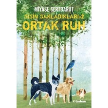Aknca Sisin Sakladıkları 2 - Ortak Ruh
