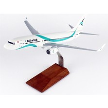 THY024 1/100 Ölçek, Tailwind Business B737-800 Yolcu Uçağı, Sergilemeye Hazır Ahşap Standlı Model