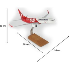 THY033 1/100 Ölçek, Thy Stutgard Logolu B737-800 Yolcu Uçağı, Sergilemeye Hazır Ahşap Standlı Model