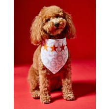 Gs Store Galatasaray Pet Bandana U251611