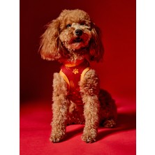 Gs Store Galatasaray Pet T-Shirt U251608