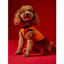 Gs Store Galatasaray Pet T-Shirt U251609