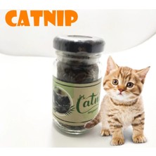 EkoAlışverişDünyam Catnip Doğal Kedi Otu - Kedi Nanesi