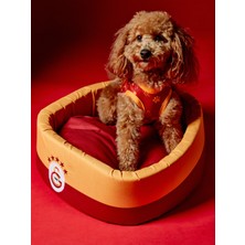Gs Store Galatasaray Pet Sünger Yatak U251612