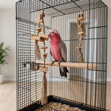 Mivra Pets Papağan Oyuncağı Kemirme Parçalama Seti 2’li Jüt Halat Doğal Ahşap Stres Azaltıcı Kuş Oyuncağı