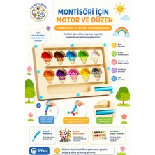 Empressco Montessori Manyetik Ahşap Dondurma Labirenti - Renk Eşleştirme ve Sayı Sayma Oyunu ve Ince Motor Geliştirici - 3+ Yaş Eğitici Oyuncak - Fiyatı, Yorumları
