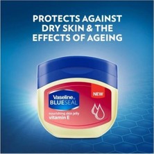 Home Station Vaseline Blueseal Vitamin E Içeren Jel 100 ml