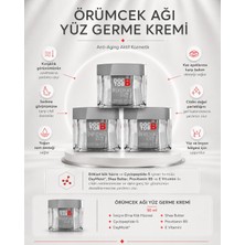 Doctor B Örümcek Ağı Krem 3'lü Set