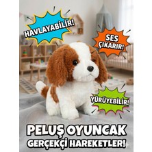 Empressco Interaktif Yürüyen Havlayan Sesli Peluş Köpek - Gerçekçi Hareketli Eğitici Oyuncak Yavru Köpek - Fiyatı, Yorumları