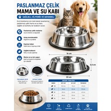 Newstore Home 16 cm Paslanmaz Çelik Mama ve Su Kabı – Kaymaz Tabanlı Evcil Hayvan Kabı