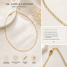 Kase Jewelry Altın Renkli, Paslanmaz Çelik, Ince Halkalı Zincir Kolye