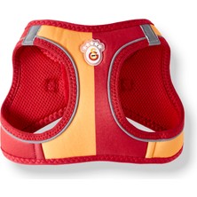 Gs Store Galatasaray Pet Parçalı Airmash Tasma U251602
