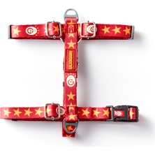 Gs Store Galatasaray Pet H Tipi Köpek Tasması U251603