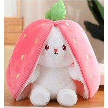 Empressco Sevgiliye Özel Hediyelik Çilek Tavşan Peluş Oyuncak 35 cm Özel Tasarım-Fermuarlı Yapısıyla - Fiyatı, Yorumları