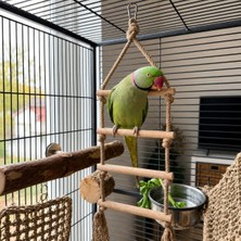 Mivra Pets Papağan Kuş Oyuncağı Doğal Ahşap Merdiven Kemirme Tırmanma Jüt Ip