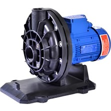 Atlaspool Best Model 2,00 Hp Ön Filtresiz Pompa (Mono-Tri)-60 Hz