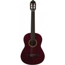 Mat Klasik Gitar Kılıf + Pena