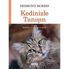 StepCo Kedinizle Tanışın