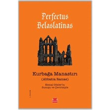 StepCo Kurbağa Manastırı