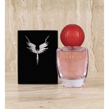 vegahediye v vega Işıltılı Zarafet Hediye Kutusu (Rebul Scarlet Edp 50 ml & Mikail Melek Kolye Hediye Seti)