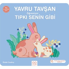 StepCo Yavru Tavşan Öğreniyor Tıpkı Senin Gibi