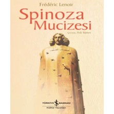 StepCo Spinoza Mucizesi