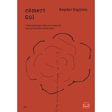 StepCo Cömert Gül