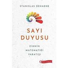 StepCo Sayı Duyusu