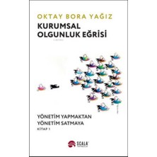 StepCo Kurumsal Olgunluk Eğrisi