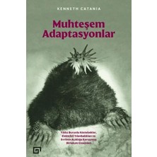 StepCo Muhteşem Adaptasyonlar
