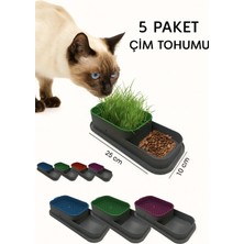 Yenilig Topraksız Kedi Çimi Kabı +3 Paket Çim Tohumu – Kediler Için Sağlıklı ve Doğal Ot Yetiştirme Seti Çok Renkli