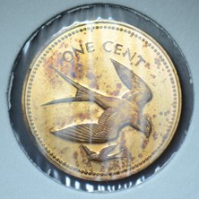 Banknoting Belize 1 Cent 1974 Hatıra. Kapamada Lekeli Çilaltı.
