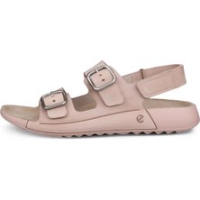Ecco Cozmo