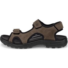 Ecco Onroads