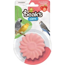 Çilek Aromalı Kuş Gaga Taşı