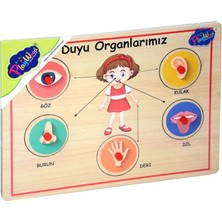 Mbb E-Ticaret 166/167 Onyıl, Ahşap Tutmalı Organlar