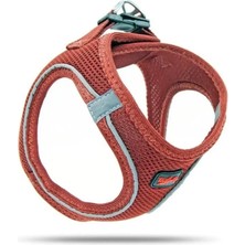 Mbb E-Ticaret Köpek Göğüs Tasması Xsmall 32X36 cm Claret
