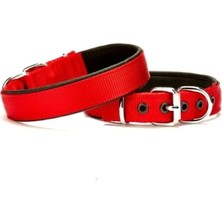 Mbb E-Ticaret Softlu Köpek Boyun Tasması 2 cm x 40 cm Kırmızı