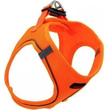 Mbb E-Ticaret Köpek Göğüs Tasması 3xsmall 24-28 cm Neo Orange