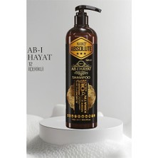 Mbb E-Ticaret Ab-I Hayat Nano Saç Şampuanı 12 Içerikli Absolute Professional 720015