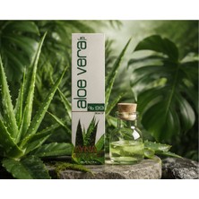 Üç Gül Ticaret Aloe Vera