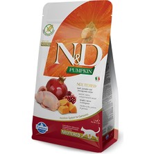 N&D Pumpkin Bıldırcın Etli & Bal Kabaklı Kısırlaştırılmış Kedi Maması 1,5 Kg İtalya Menşeli