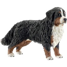Altes Grup World-Dişi Bernese