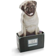 Altes Grup M16079A Dog In A Box Yapışkanlık Not Kağıdı, Renkli