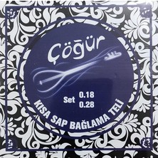Altes Grup CGR18 Kısa Sap Saz Teli 0.18 Takım Bağlama Teli