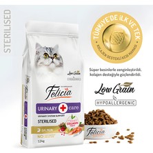 Felicia Düşük Tahıllı Kısırlaştırılmış Somonlu Yetişkin Kedi Maması 12 kg