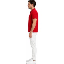 Can Çapar Erkek Regular Fit Polo Yaka Basic Tişört